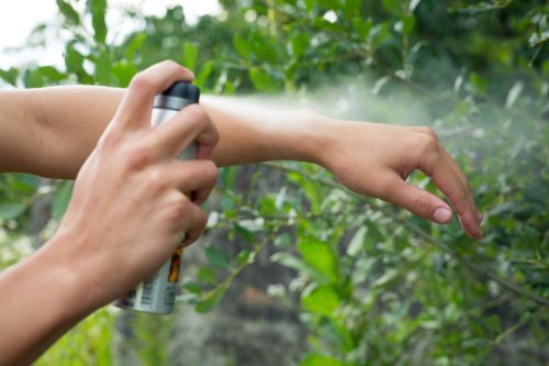 Repeler insectos con aceites esenciales
