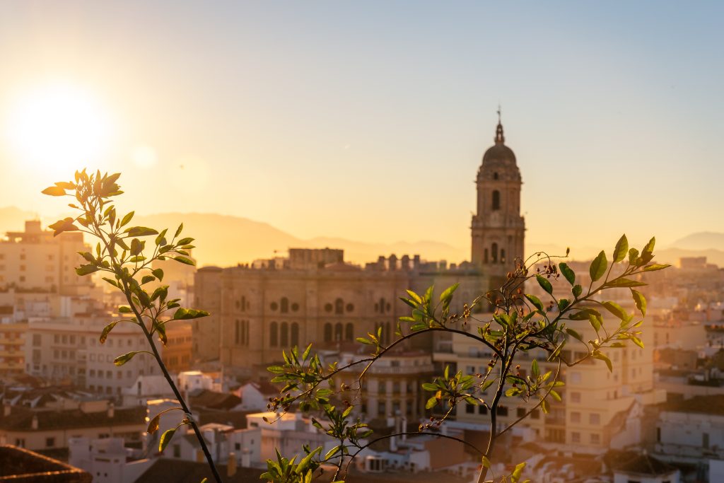 marketing olfativo en malaga