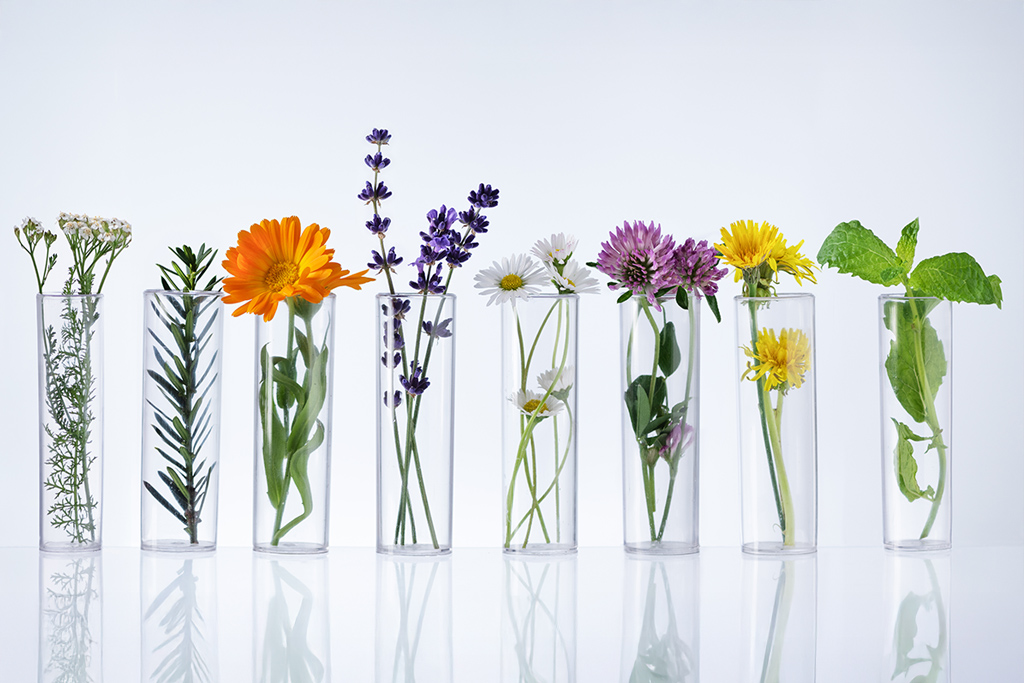 Aromacología: cómo los aromas influyen en el bienestar y la productividad