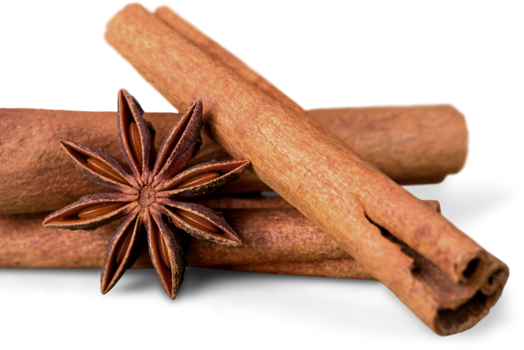 Aroma de canela: confort para restaurantes y cafeterías fenpal