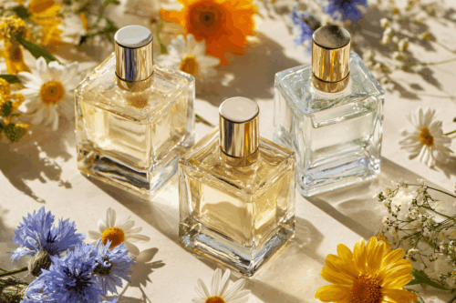 Notas de un perfume: cómo se construye la identidad olfativa de una marca Fenpal