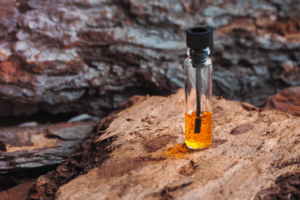 El pachuli en perfumería: intensidad, carácter y elegancia 🌿 Fenpal