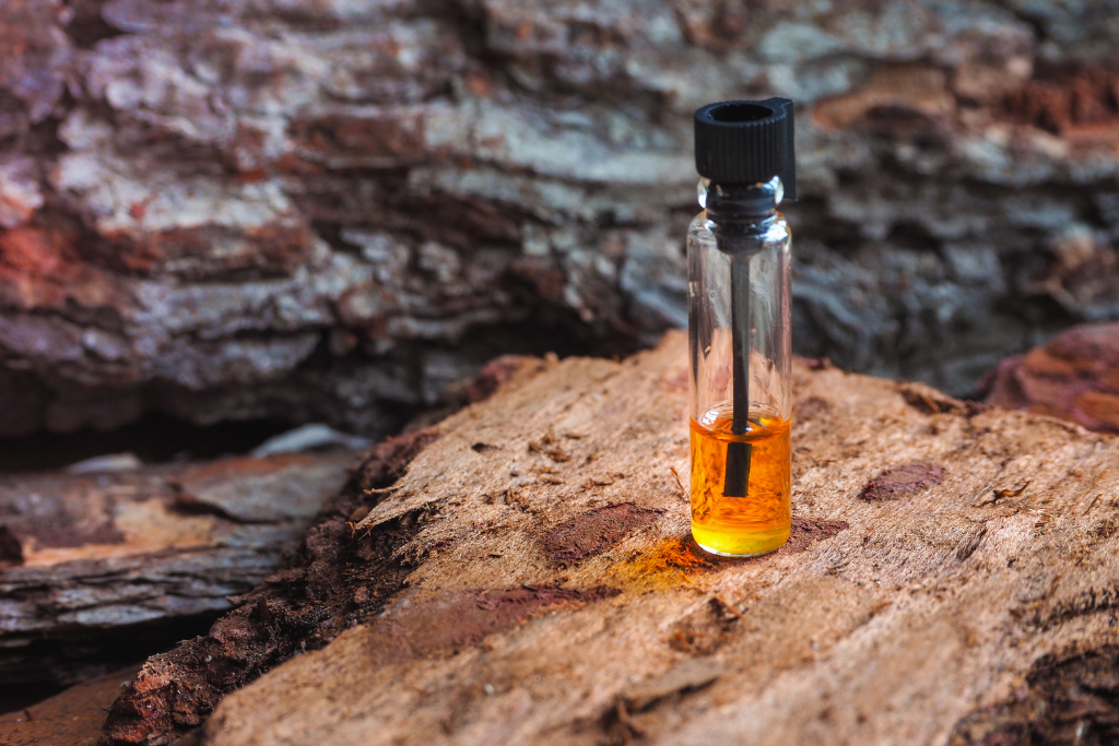 El pachuli en perfumería: intensidad, carácter y elegancia 🌿 Fenpal