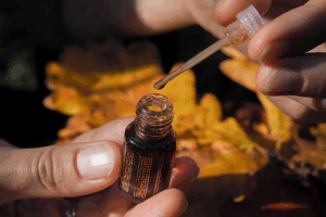 Oud en perfumería: lujo, intensidad y tradición Fenpal