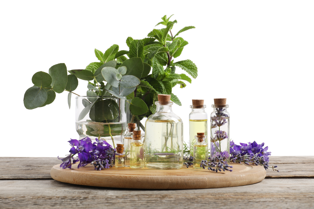 ¿Qué es la lavanda? Propiedades, tipos y usos en aromaterapia y perfumería Fenpal