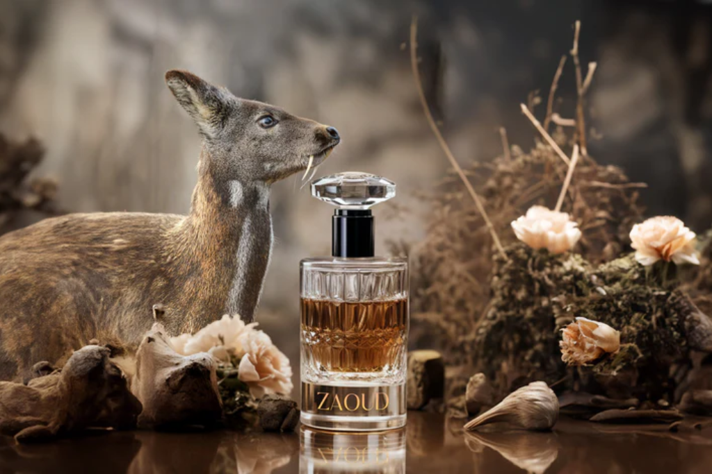 Almizcle en perfumería: usos, beneficios y combinaciones perfectas Fenpal