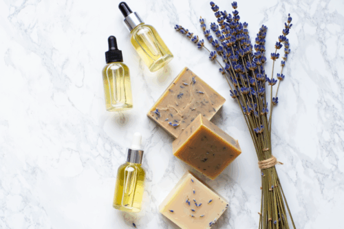 Propiedades de la lavanda: por qué es una de las plantas más valoradas en perfumería Fenpal