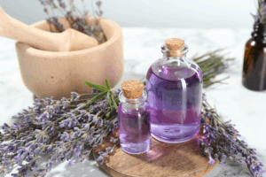 Tipos de lavanda: aromas, características y diferencias principales Fenpal