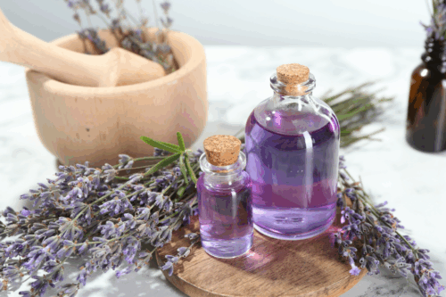 Tipos de lavanda: aromas, características y diferencias principales Fenpal