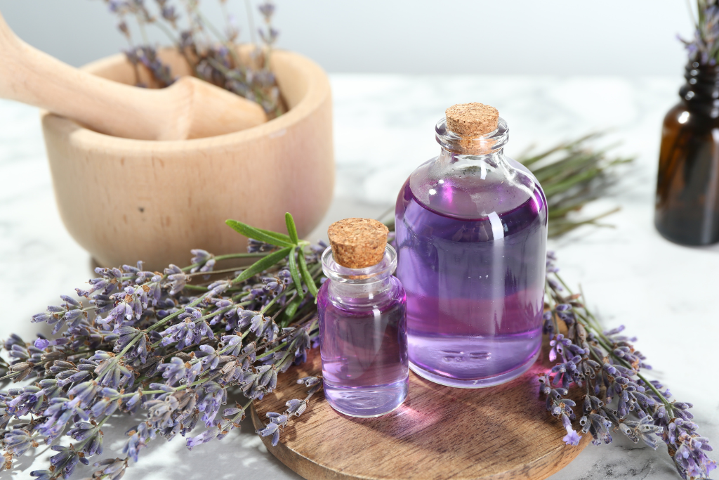 Tipos de lavanda: aromas, características y diferencias principales Fenpal